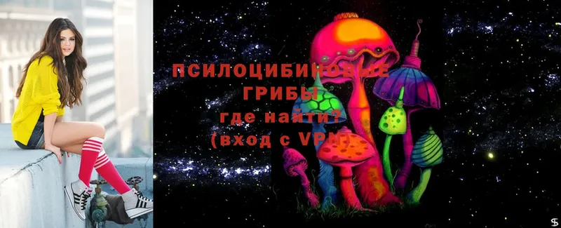 Псилоцибиновые грибы Psilocybe  blacksprut tor  Красный Сулин  наркошоп 